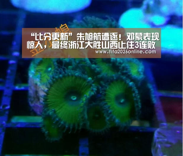 比分更新